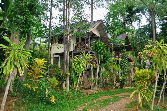 1 Day Khao Sok Jungle Safari and 2 Days Cheow Lan Lake Explorer from Krabi - Food, coffee, and the comfort level you should plan around