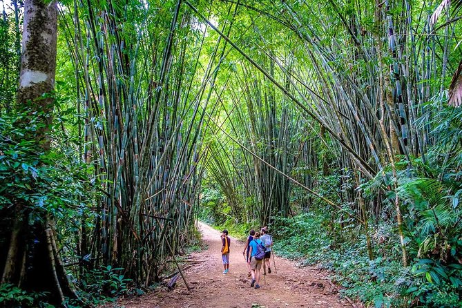 1 Day Khao Sok Jungle Safari and 2 Days Cheow Lan Lake Explorer from Krabi - Guides, English, and why the group size changes everything