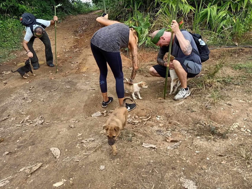 1 Day trekking : Chiang Rai popular activity,Fun in Nature. - Wood-fired lunch in a hill tribe bamboo hut