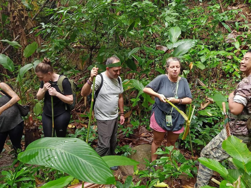 1 Day trekking : Chiang Rai popular activity,Fun in Nature. - Chinese village, tea plantation, then Huay Kaew waterfall for a swim