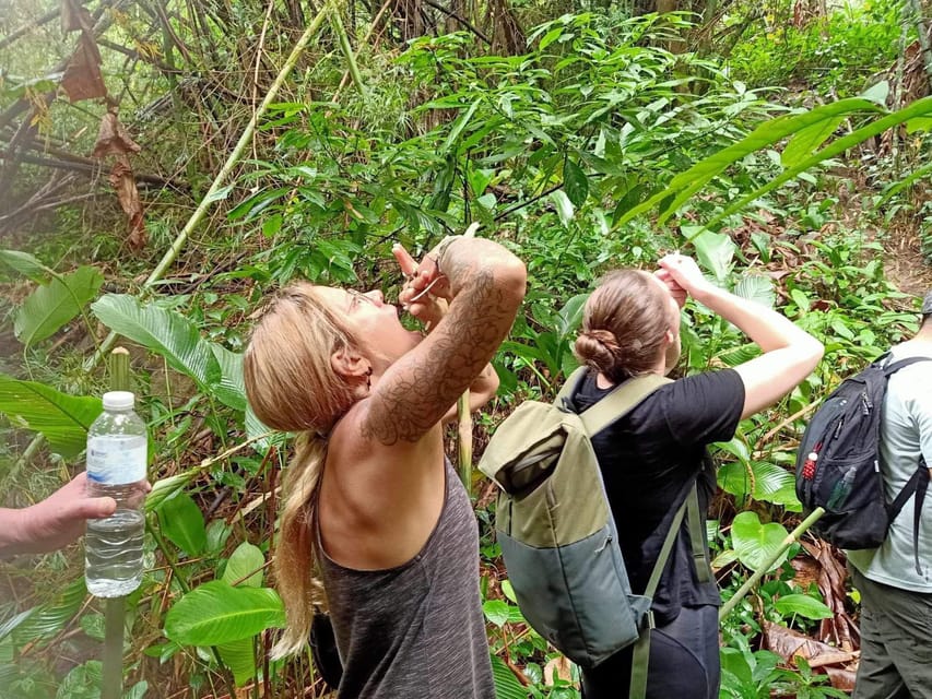 1 Day trekking : Chiang Rai popular activity,Fun in Nature. - Akha and Lahu village visits, farm land views, and back to the hot bath