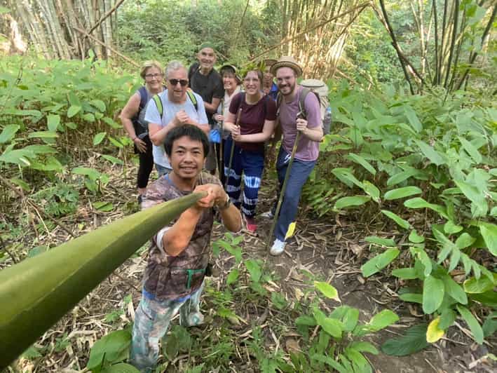 1 Day trekking : Chiang Rai popular activity,Fun in Nature. - Price and what $59 really covers
