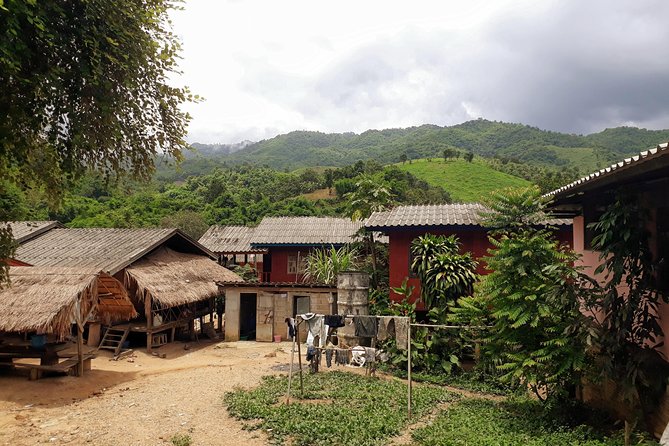 1 Day Trekking Group Tour With Bamboo Cooking / Chiang Rai - How the Day Flows: From Trekking to Bamboo Lunch