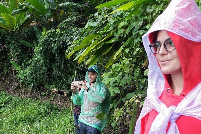 1 Day Trekking Group Tour With Bamboo Cooking / Chiang Rai - Village and Tea Plantation Stops: More Than Photos