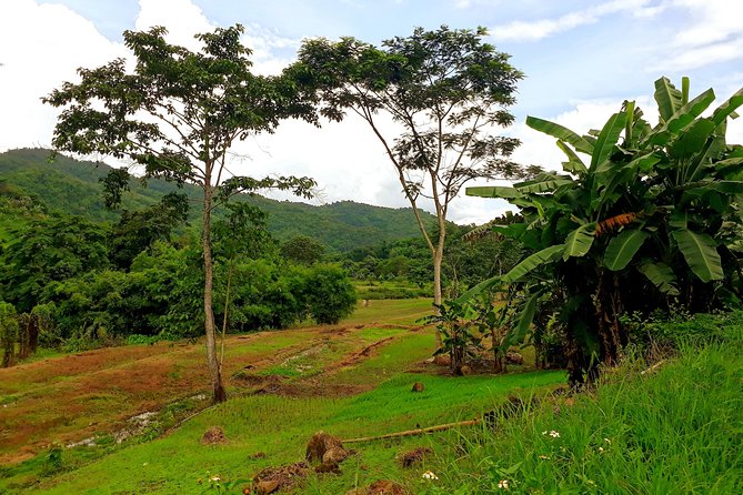 1 Day Trekking Group Tour With Bamboo Cooking / Chiang Rai - Logistics That Help: Pickup, Start Time, and Small Group Pace