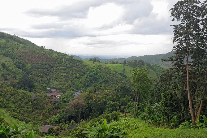 1 Day Trekking Group Tour With Bamboo Cooking / Chiang Rai - Your Guides Matter: Lahu and Akha Culture on the Trail