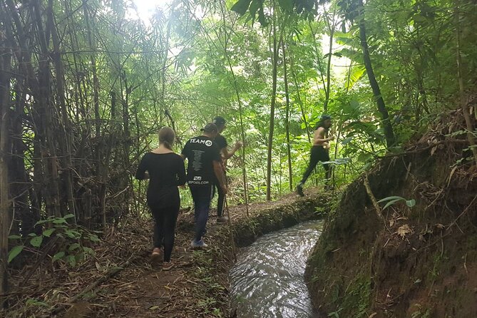 1 Day Trekking in Chiang Mai - Non-touristic trekking: why that choice changes the whole day