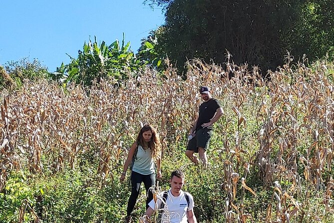 1 Day Trekking in Chiang Mai - Hilltribe village visit: respectful, real-world context