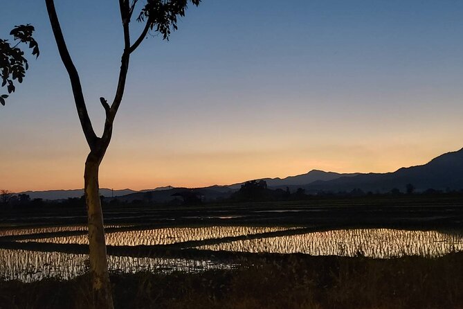1 Day Trekking in Chiang Mai - Your guide: friendliness, punctuality, and real explanations