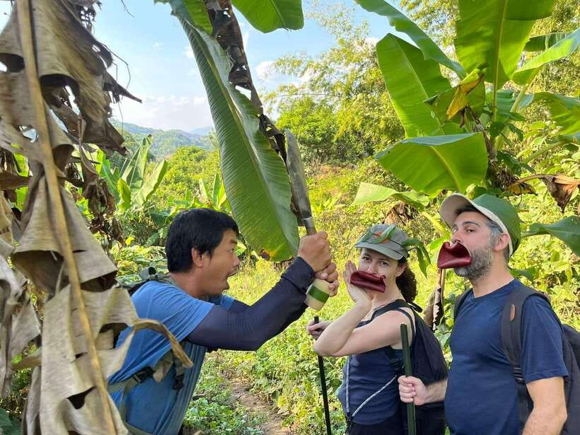 1 Day Trekking in Chiang Rai forest (walk only) - Starting at the hot springs, then walking into the jungle day