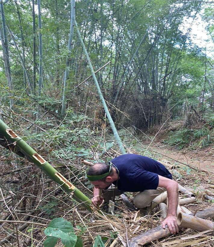 1 Day Trekking in Chiang Rai forest (walk only) - Bamboo cooking lunch, why this feels more real than a served meal