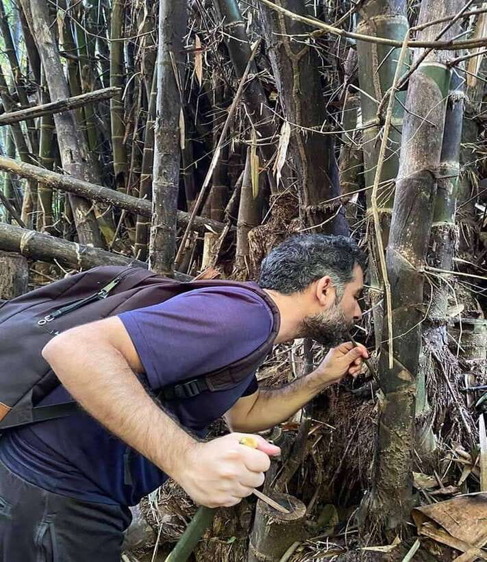 1 Day Trekking in Chiang Rai forest (walk only) - Guides are the secret sauce, from Thor to June to Addie and Chai