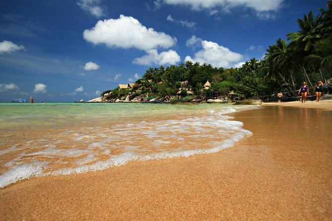 2.5 hours Pig Island-Virgin Islands & Snorkeling Jet Ski Safari - Key Highlights to Know Before You Go