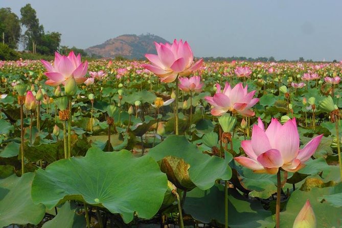 2-Day Angkor Wat Tour from Bangkok - Day 1 in Siem Reap: Tonlé Sap Floating Village by Private Boat