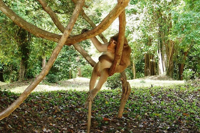 2-Day Angkor Wat Tour from Bangkok - Your Siem Reap Hotel Night: Sleep, Breakfast, and a Little Breathing Room