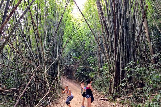 2-Day Khao Sok Jungle Safari from Krabi - Guides, food, and the details you feel on a small-group tour