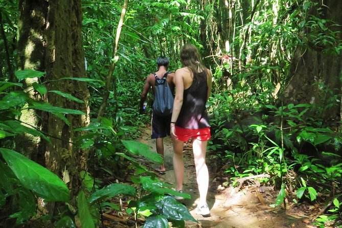 2-Day Khao Sok Jungle Safari from Krabi - The jungle basecamp rhythm: lunch, check-in, and a rainforest hike
