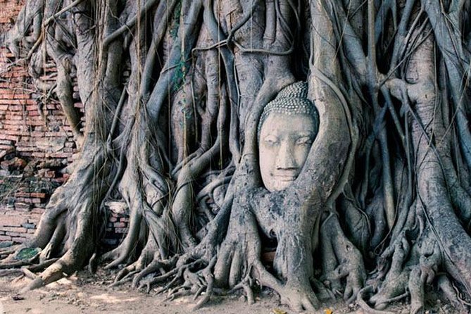2 Day Private Car with Driver from Laem Chabang to Bangkok & Ayutthaya - Price and What You Actually Get For It