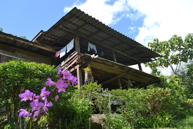 3-Day Chiang Dao Mountain Trek - Key points to know before you go