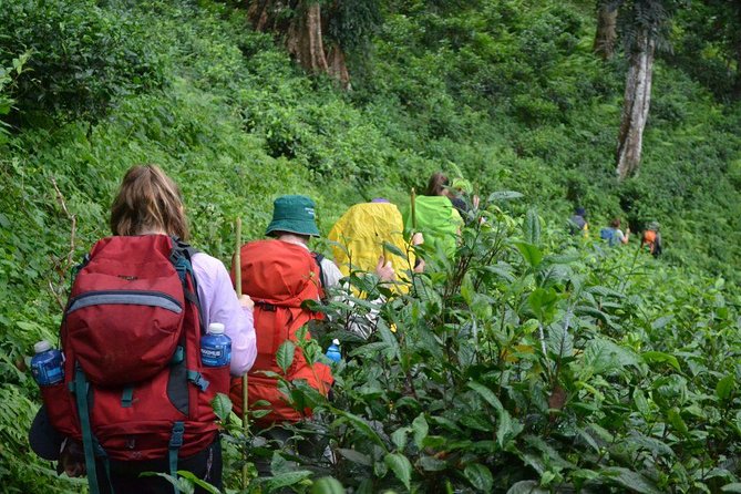 3-Day Chiang Dao Mountain Trek - Why Chiang Dao, and why this trek feels far from the tourist trail