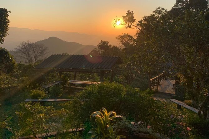 3-Day Chiang Dao Mountain Trek - Day 2: The challenging jungle day that most people remember
