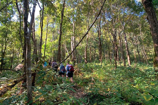 3-Day Chiang Dao Mountain Trek - Day 3: Descent to the Maetang River valley, waterfall break, and the river lunch