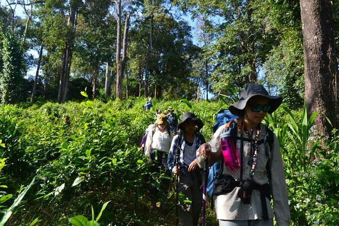 3-Day Chiang Dao Mountain Trek - Homestays, food, and the real-life comfort level