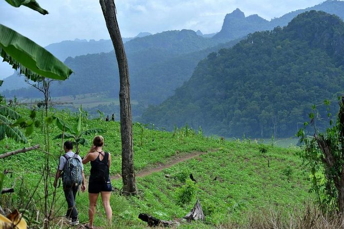 3-Day Chiang Dao Mountain Trek - Guides and group size: the difference between walking and getting a story