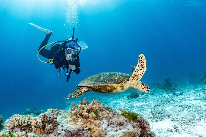 3 Fun Dives in Phi Phi islands for Certified Divers - Getting to Chalong Pier at 7:00 AM, and why transfers are a big deal