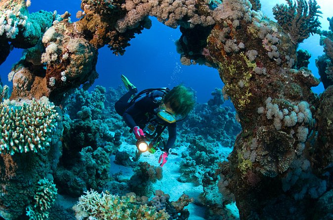 3 Fun Dives in Phi Phi islands for Certified Divers - Insurance, instructors, and what “small group” actually changes