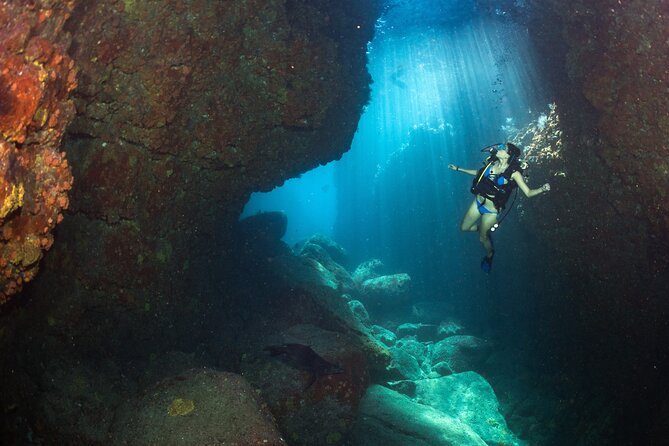 3 Fun Dives in Phi Phi islands for Certified Divers - Price and value: where the money goes, and what costs extra