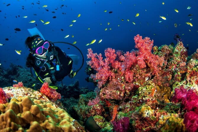 3 Fun Dives in Racha Yai and Racha Noi for Certified Divers - Key Points at a Glance