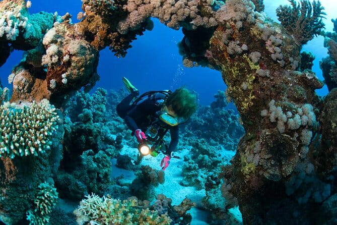 3 Fun Dives in Racha Yai and Racha Noi for Certified Divers - Three Underwater Sessions at Racha Yai and Racha Noi: Why This Route Matters