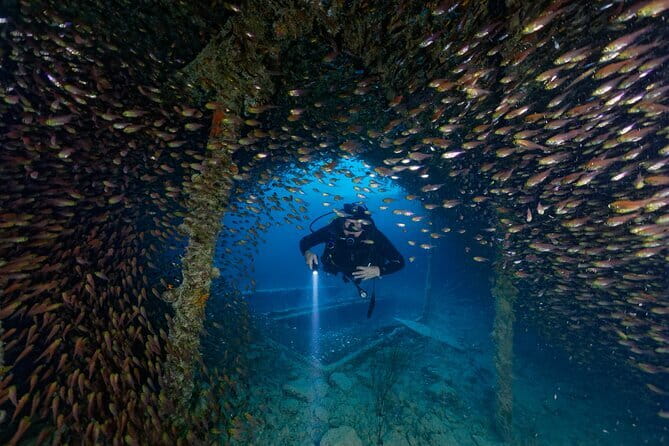 3 Fun Dives King Cruiser Wreck and Koh DokMai for Certified diver - Key Points You Will Notice