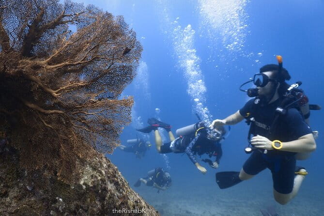 3 Fun Dives King Cruiser Wreck and Koh DokMai for Certified diver - Koh Doc Mai Caves: The Serene Side of the Day