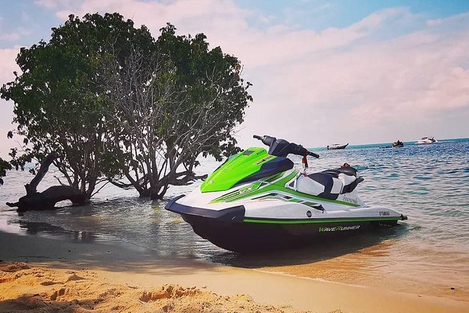3-Hour Jet Ski Safari from Koh Samui to Pig Island or Koh Phangan - What you’re really buying: speed, scenery, and pig island reality