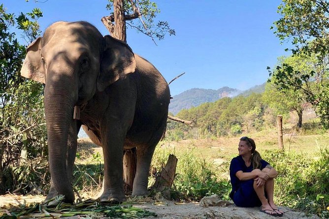 3-in-1: Doi Inthanon Tour, Elephant Sanctuary, and Trekking Trail - Guide energy and what to expect from the group