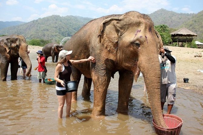 3D2NTrek Adventure at Chiang Mai Mea Wang Including Overnight at Karen Hilltribe - Guide quality makes or breaks a trek like this
