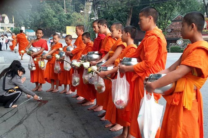 4 highlights: Sticky Waterfall/Elephants/local market /Wat Banden - Early Market Stop: Insects, Worms, and Everyday Food Culture