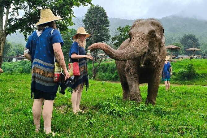 4 in 1 Elephants Long Neck Rafting and Sticky Waterfall Tour - Elephant sanctuary time with an ethical focus