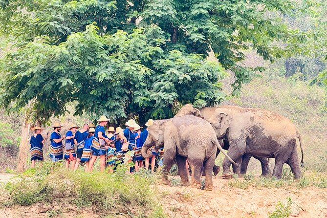 4 in 1 Elephants Long Neck Rafting and Sticky Waterfall Tour - Price and value: is $88.01 a good deal?