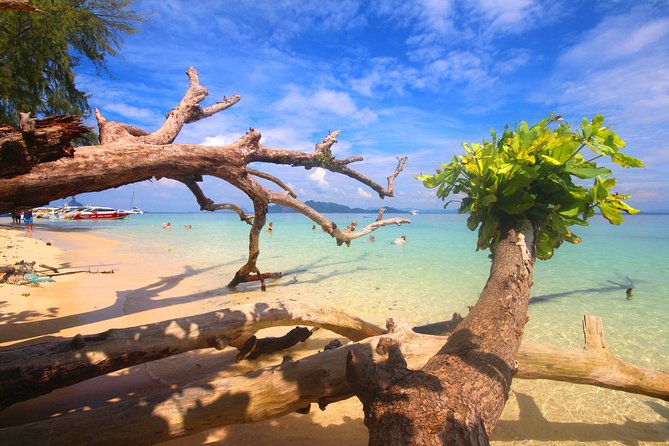 4-Island Wonders: Emerald Cave&Koh Kradan Day Tour by Opal Travel - Price and logistics: what you are really paying for