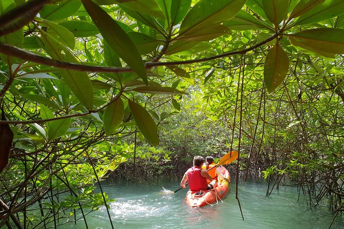 4-Waters Eco-Adventure Trip from Phuket Including Lunch - Khao Phra Thaeo National Park Trek to Ton Phrai Waterfall