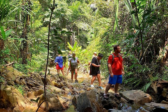 4-Waters Eco-Adventure Trip from Phuket Including Lunch - Mai Khao Beach and the Late Lunch Reset in Phang-Nga
