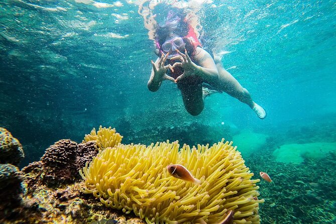 5 Islands Full-Day Tour Around Koh Tao and Koh Nangyuan - Hin Wong Bay plus Aow Luek: coral, boulders, and low-tide friendly water