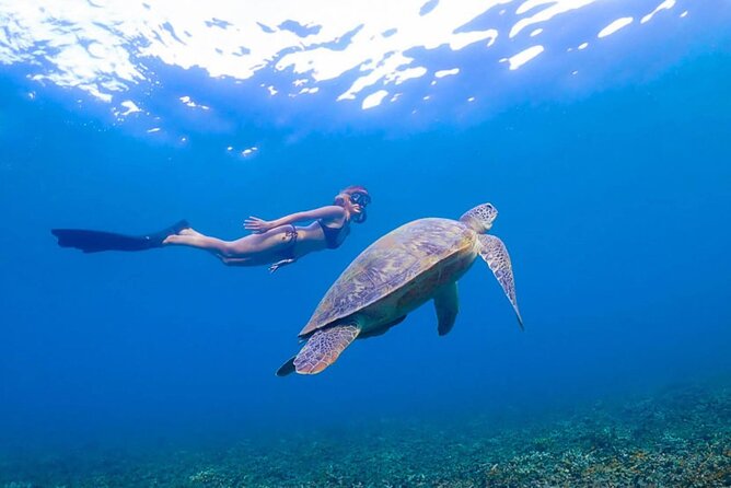5 Islands Full-Day Tour Around Koh Tao and Koh Nangyuan - Price and value: $27.71 works best when you want an all-in snorkeling day
