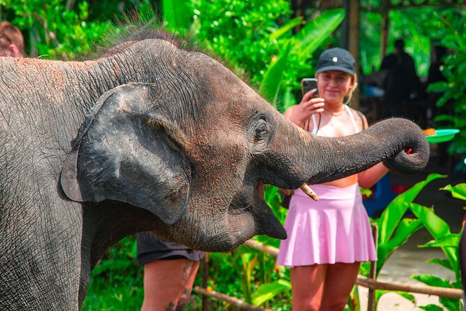 6 Hours Elephant Care and Jungle Tour by 4WD in Koh Samui - Inside the 4WD jungle route (and what to expect on the ride)
