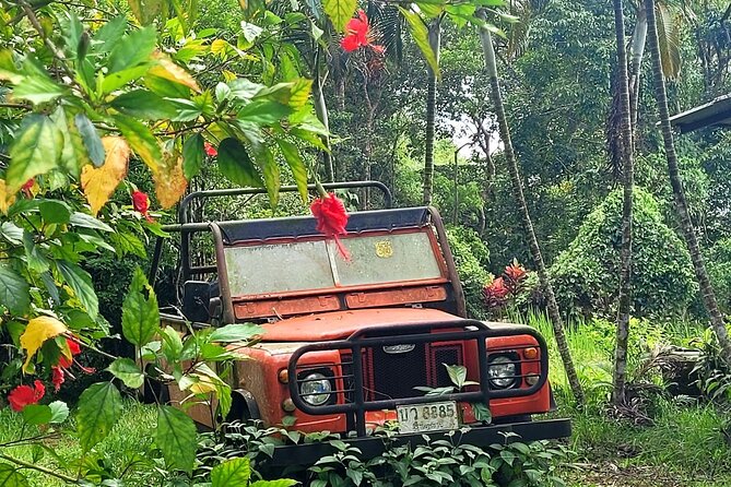 6 Hours Off-Road 4x4 Hidden Gem Adventure 1 - 8 People - Pickup, timing, and how the 6 hours play out
