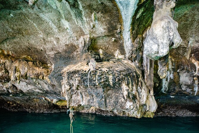 6 Hours Private Tour Around Phi Phi Islands From Phi Phi - Loh Samah Bay: your best snorkeling and beach break