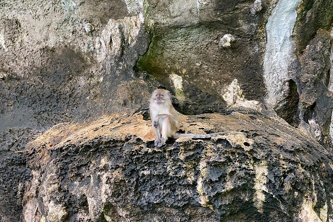 6 Hours Private Tour Around Phi Phi Islands From Phi Phi - Maya Bay for the walk, not just the photo